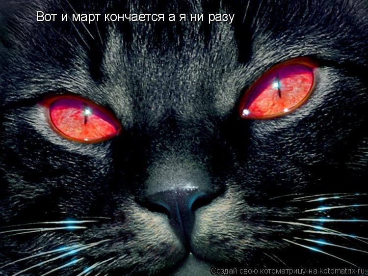 Вот и март кончается а я ни разу... Котоматрица: Вот и март кончается а я ни разу