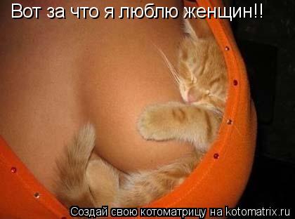 Вот за что я люблю женщин!!... Котоматрица: Вот за что я люблю женщин!!