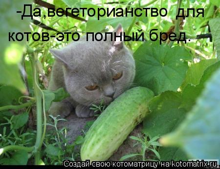 -Да,вегеторианство для котов-это полный бред.... Котоматрица: -Да,вегеторианство для котов-это полный бред.