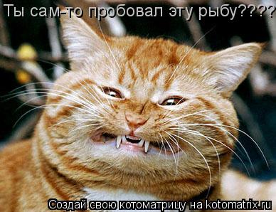 Ты сам-то пробовал эту рыбу????... Котоматрица: Ты сам-то пробовал эту рыбу????