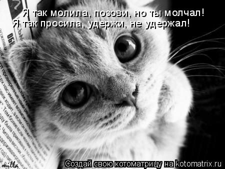 Я так молила, позови, но ты молчал! Я так просила, удержи, не удержал!... Котоматрица: Я так молила, позови, но ты молчал! Я так просила, удержи, не удержал!