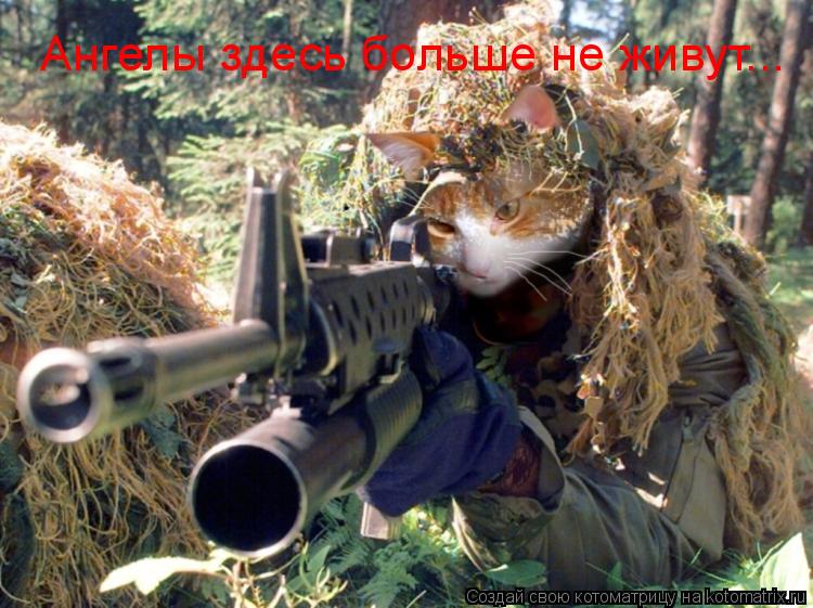 Ангелы здесь больше не живут...... Котоматрица: Ангелы здесь больше не живут...