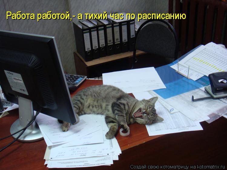 Работа работой,- а тихий час по расписанию Работа работой,- а тихий час по расписанию... Котоматрица: Работа работой,- а тихий час по расписанию Работа работой,- а тихий час по расписанию