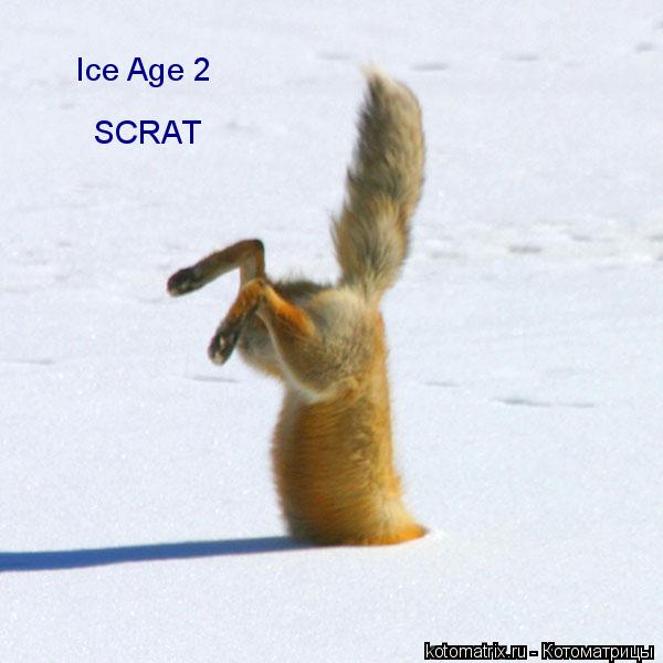 Ice Age 2 SCRAT... Котоматрица: Ice Age 2 SCRAT