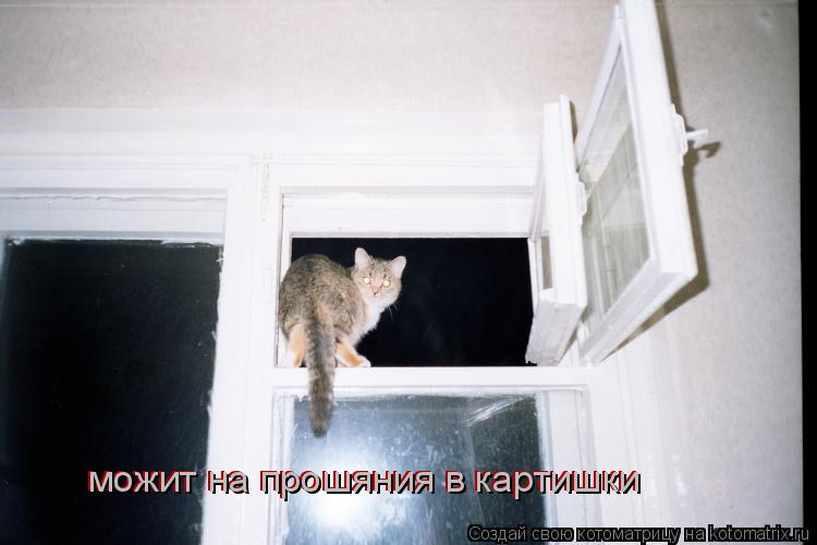 можит на прошяния в картишки можит на прошяния в картишки... Котоматрица: можит на прошяния в картишки можит на прошяния в картишки