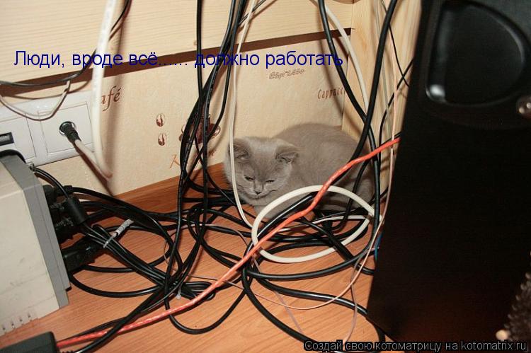 Люди, вроде всё...... должно работать... Котоматрица: Люди, вроде всё...... должно работать