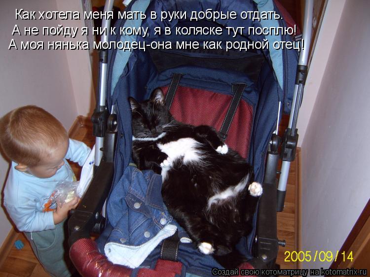 Как хотела меня мать в руки добрые отдать. А не пойду я ни к кому, я в коляске тут посплю! А моя нянь... Котоматрица: Как хотела меня мать в руки добрые отдать. А не пойду я ни к кому, я в коляске тут посплю! А моя нянька молодец-она мне как родной отец!