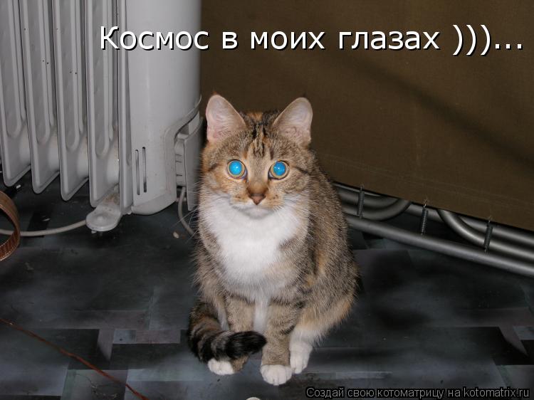 Космос в моих глазах )))...... Котоматрица: Космос в моих глазах )))...