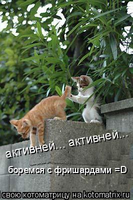 активней... активней... боремся с фришардами =D... Котоматрица: активней... активней... боремся с фришардами =D