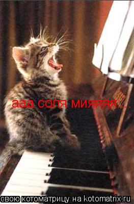 ааа соля мияяяя....... Котоматрица: ааа соля мияяяя....