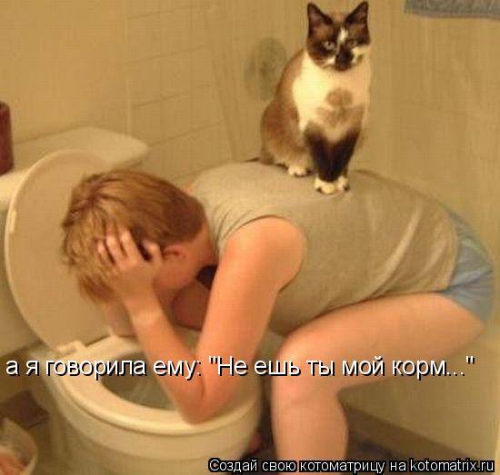 а я говорила ему: "Не ешь ты мой корм..."... Котоматрица: а я говорила ему: "Не ешь ты мой корм..."
