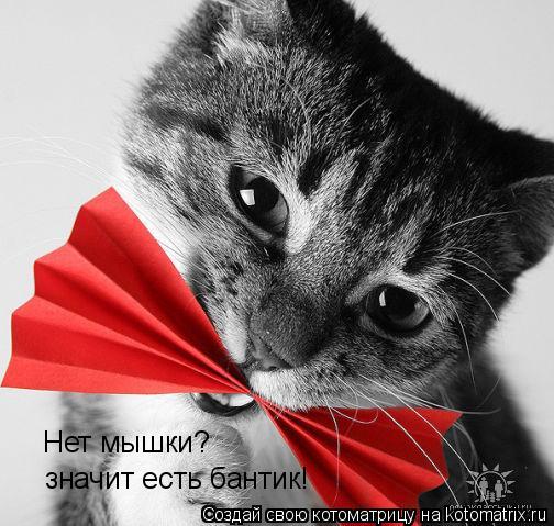 Нет мышки? Нет мышки? значит есть бантик!... Котоматрица: Нет мышки? Нет мышки? значит есть бантик!