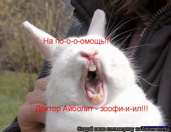 На по-о-о-омощь!!! Доктор Айболит - зоофи-и-ил!!!... Котоматрица: На по-о-о-омощь!!! Доктор Айболит - зоофи-и-ил!!!