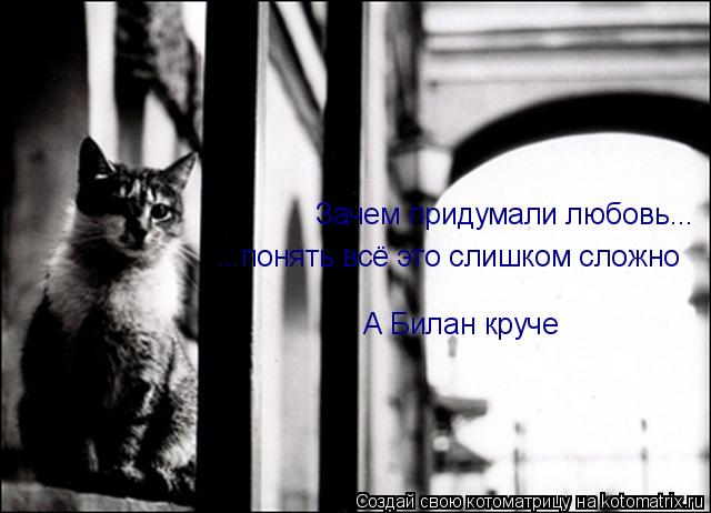 Зачем придумали любовь... ...понять всё это слишком сложно А Билан круче... Котоматрица: Зачем придумали любовь... ...понять всё это слишком сложно А Билан круче