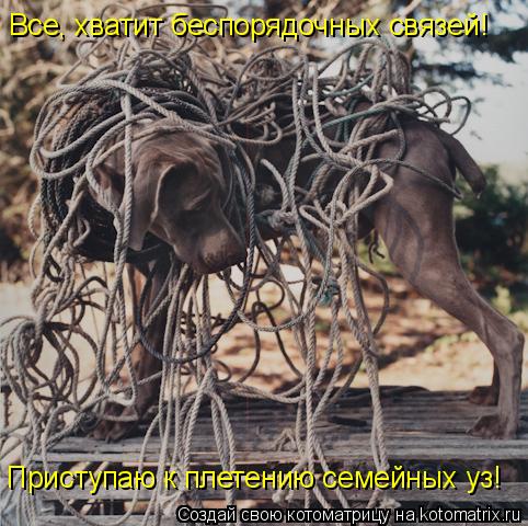Все, хватит беспорядочных связей! Приступаю к плетению семейных уз!... Котоматрица: Все, хватит беспорядочных связей! Приступаю к плетению семейных уз!