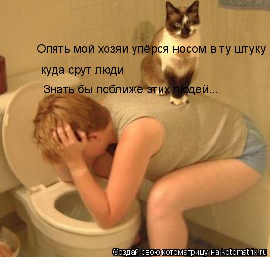 Опять мой хозяи упёрся носом в ту штуку куда срут люди Знать бы поближе этих людей...... Котоматрица: Опять мой хозяи упёрся носом в ту штуку куда срут люди Знать бы поближе этих людей...