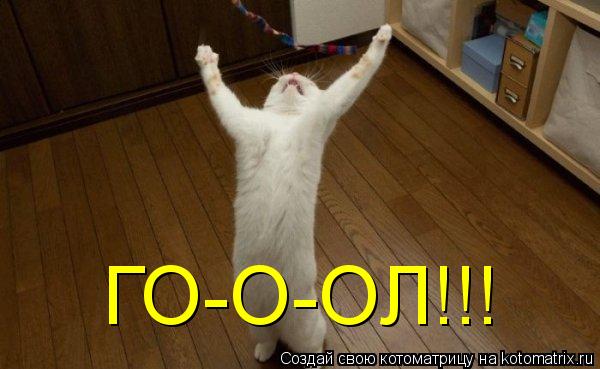 ГО-О-ОЛ!!!... Котоматрица: ГО-О-ОЛ!!!