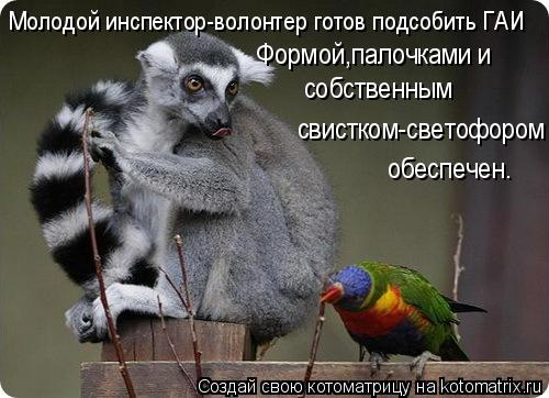 Молодой инспектор-волонтер готов подсобить ГАИ Формой,палочками и собственным свистком-светофором обе... Котоматрица: Молодой инспектор-волонтер готов подсобить ГАИ Формой,палочками и собственным свистком-светофором обеспечен.