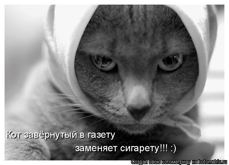 Кот завёрнутый в газету заменяет сигарету!!! :)... Котоматрица: Кот завёрнутый в газету заменяет сигарету!!! :)