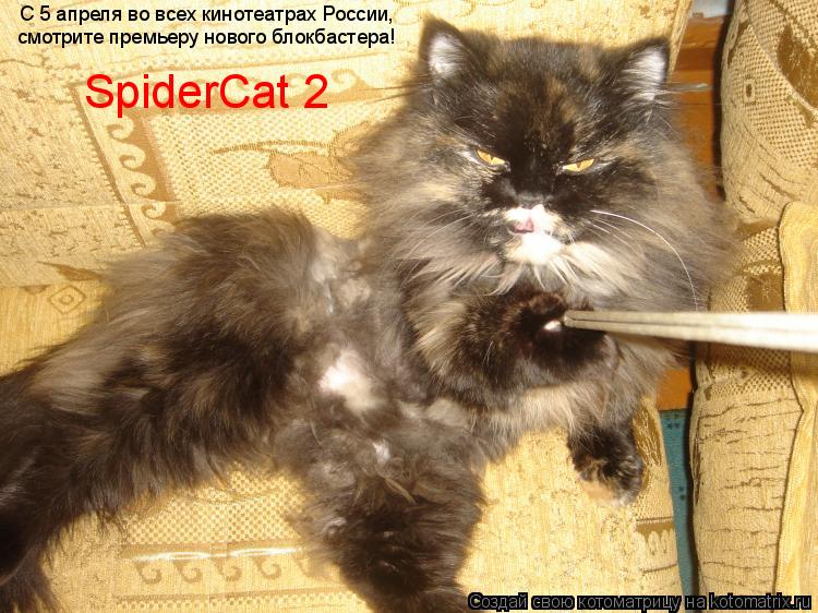 С 5 апреля во всех кинотеатрах России, смотрите премьеру нового блокбастера! SpiderCat 2... Котоматрица: С 5 апреля во всех кинотеатрах России, смотрите премьеру нового блокбастера! SpiderCat 2