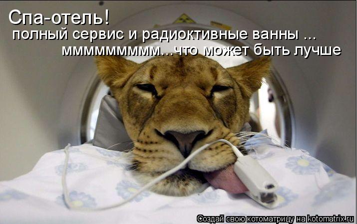 Спа-отель! Спа-отель! Спа-отель! полный сервис и радиоктивные ванны -обеспеченны!! полный сервис и р... Котоматрица: Спа-отель! Спа-отель! Спа-отель! полный сервис и радиоктивные ванны -обеспеченны!! полный сервис и радиоктивные ванны ... ммммммммм...что може