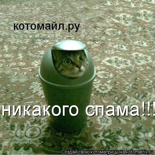 котомайл.ру никакого спама!!!... Котоматрица: котомайл.ру никакого спама!!!