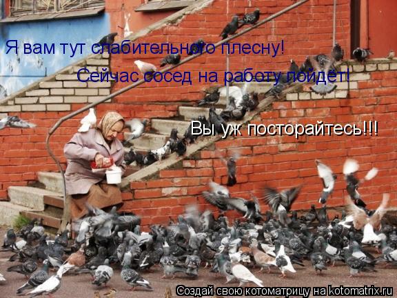 Я вам тут слабительного плесну! Сейчас сосед на работу пойдёт! Вы уж посторайтесь!!!... Котоматрица: Я вам тут слабительного плесну! Сейчас сосед на работу пойдёт! Вы уж посторайтесь!!!