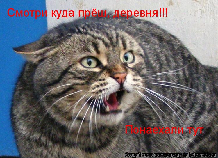 Смотри куда прёш, деревня!!! Понаехали тут... Котоматрица: Смотри куда прёш, деревня!!! Понаехали тут