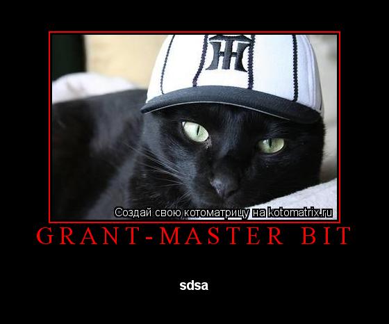GRANT-MASTER BIT sdsa... Котоматрица: GRANT-MASTER BIT sdsa