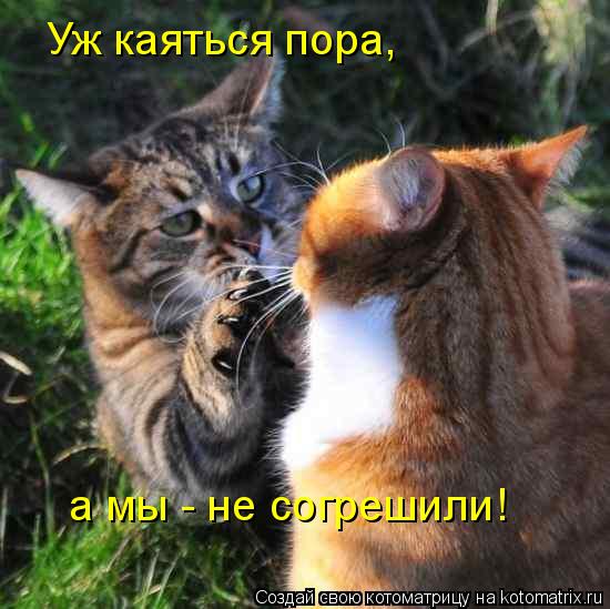 Уж каяться пора, а мы - не согрешили!... Котоматрица: Уж каяться пора, а мы - не согрешили!