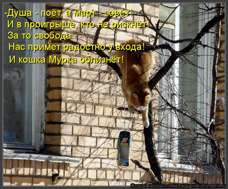 -Душа - поёт, а март - зовёт! И в проигрыше, кто не рискнёт! За то свобода - Нас примет радостно у вх... Котоматрица: -Душа - поёт, а март - зовёт! И в проигрыше, кто не рискнёт! За то свобода - Нас примет радостно у входа! И кошка Мурка облизнёт!