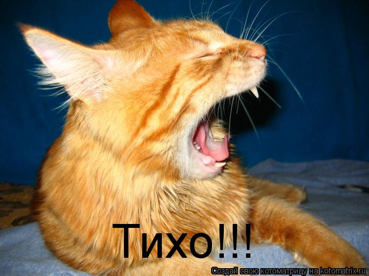 Тихо!!!... Котоматрица: Тихо!!!