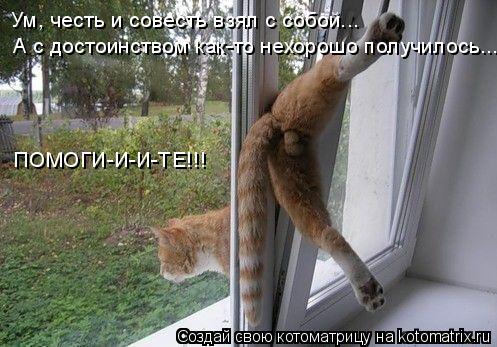 Ум, честь и совесть взял с собой... А с достоинством как-то нехорошо получилось... ПОМОГИ-И-И-ТЕ!!!... Котоматрица: Ум, честь и совесть взял с собой... А с достоинством как-то нехорошо получилось... ПОМОГИ-И-И-ТЕ!!!