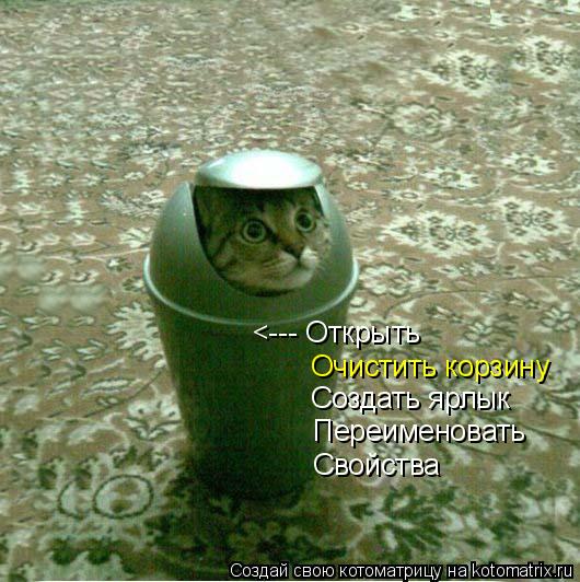 Очистить корзину <--- Открыть Создать ярлык Переименовать Свойства... Котоматрица: Очистить корзину <--- Открыть Создать ярлык Переименовать Свойства