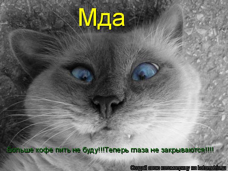 Мда Больше кофе пить не буду!!!Теперь глаза не закрываются!!!!... Котоматрица: Мда Больше кофе пить не буду!!!Теперь глаза не закрываются!!!!