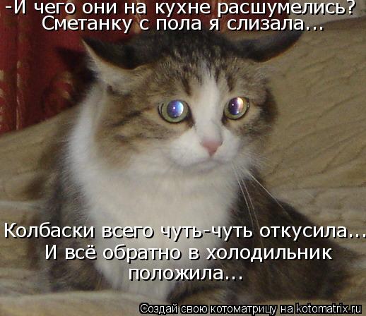 -И чего они на кухне расшумелись? Сметанку с пола я слизала... Колбаски всего чуть-чуть откусила... И... Котоматрица: -И чего они на кухне расшумелись? Сметанку с пола я слизала... Колбаски всего чуть-чуть откусила... И всё обратно в холодильник положила...