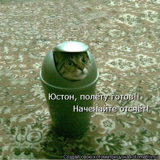 Юстон, полёту готов!! Наченайте отсчёт!... Котоматрица: Юстон, полёту готов!! Наченайте отсчёт!