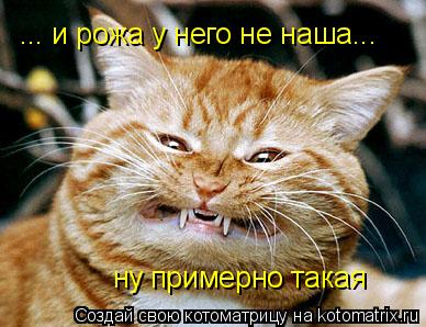 ну примерно такая ... и рожа у него не наша...... Котоматрица: ну примерно такая ... и рожа у него не наша...