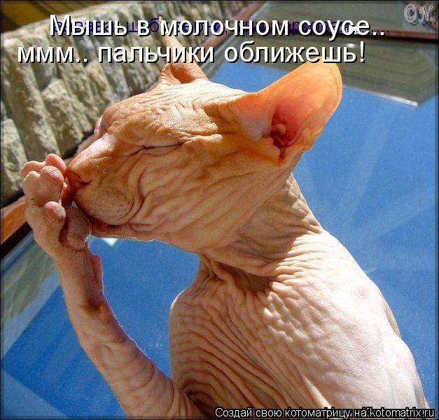 Мышь в молочном соусе.. ммм.. пальчики оближешь!... Котоматрица: Мышь в молочном соусе.. ммм.. пальчики оближешь!