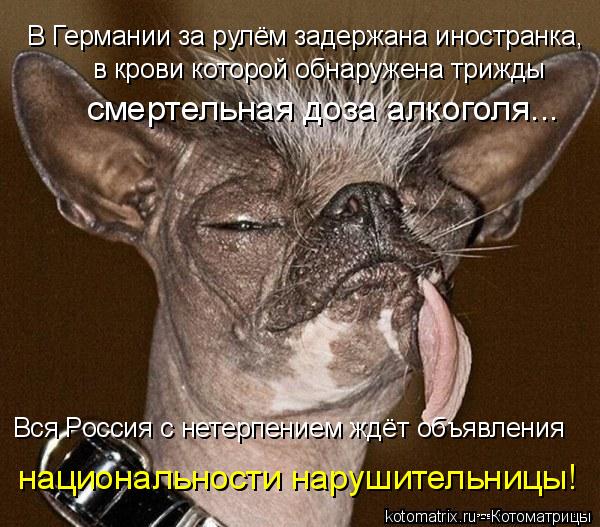 В Германии за рулём задержана иностранка, в крови которой обнаружена трижды смертельная доза алкогол... Котоматрица: В Германии за рулём задержана иностранка, в крови которой обнаружена трижды смертельная доза алкоголя... Вся Россия с нетерпением ждёт объ