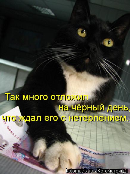 Так много отложил на чёрный день, что ждал его с нетерпением.... Котоматрица: Так много отложил на чёрный день, что ждал его с нетерпением.