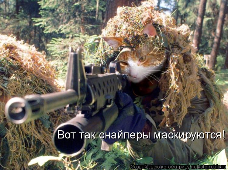 Вот так снайперы маскируются!... Котоматрица: Вот так снайперы маскируются!