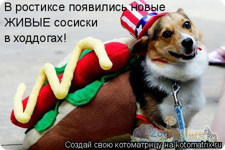 В ростиксе появились новые ЖИВЫЕ сосиски в ходдогах!... Котоматрица: В ростиксе появились новые ЖИВЫЕ сосиски в ходдогах!
