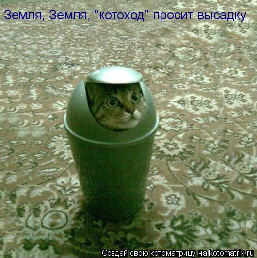 Земля, Земля, "котоход" просит высадку... Котоматрица: Земля, Земля, "котоход" просит высадку