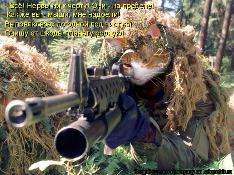 - Всё! Нервы ни к черту! Они - на пределе! Как же вы - мыши, мне надоели! Выловлю всех до одной под ч... Котоматрица: - Всё! Нервы ни к черту! Они - на пределе! Как же вы - мыши, мне надоели! Выловлю всех до одной под чистую! Очищу от шкоды планету родную!