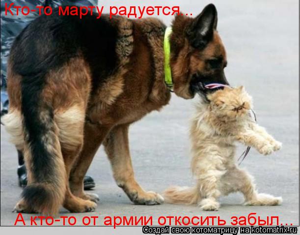 Кто-то марту радуется... А кто-то от армии откосить забыл...... Котоматрица: Кто-то марту радуется... А кто-то от армии откосить забыл...