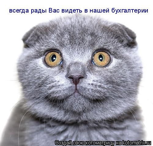 всегда рады Вас видеть в нашей бухгалтерии... Котоматрица: всегда рады Вас видеть в нашей бухгалтерии