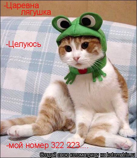 -Царевна лягушка -Целуюсь -мой номер 322 223....... Котоматрица: -Царевна лягушка -Целуюсь -мой номер 322 223....