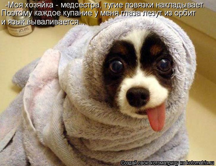 -Моя хозяйка - медсестра, тугие повязки накладывает. Поэтому каждое купание у меня глаза лезут из орб... Котоматрица: -Моя хозяйка - медсестра, тугие повязки накладывает. Поэтому каждое купание у меня глаза лезут из орбит и язык вываливается...