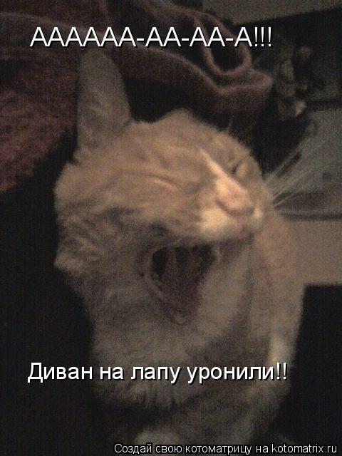 АААААА-АА-АА-А!!! Диван на лапу уронили!!... Котоматрица: АААААА-АА-АА-А!!! Диван на лапу уронили!!
